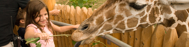 detroitzoo.jpg