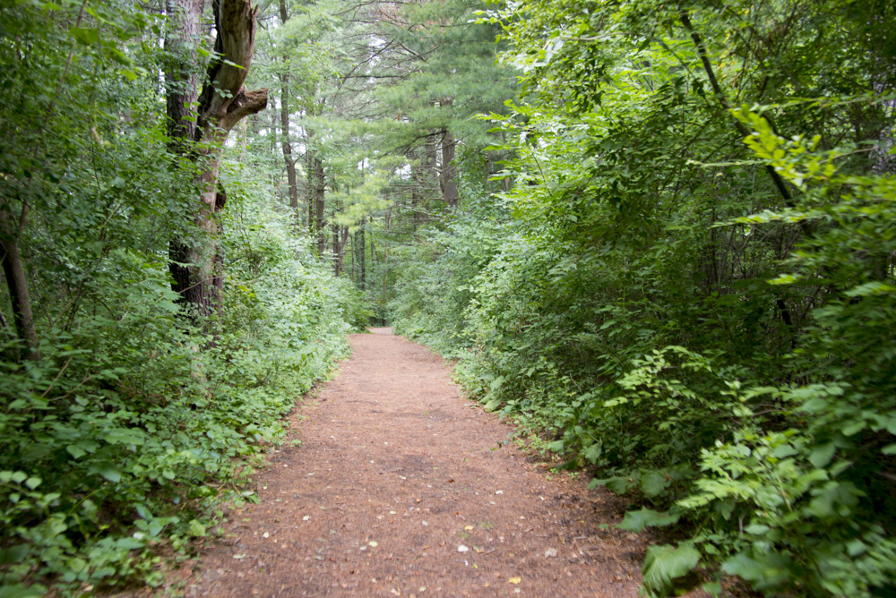 EL Johnson Nature center.jpg